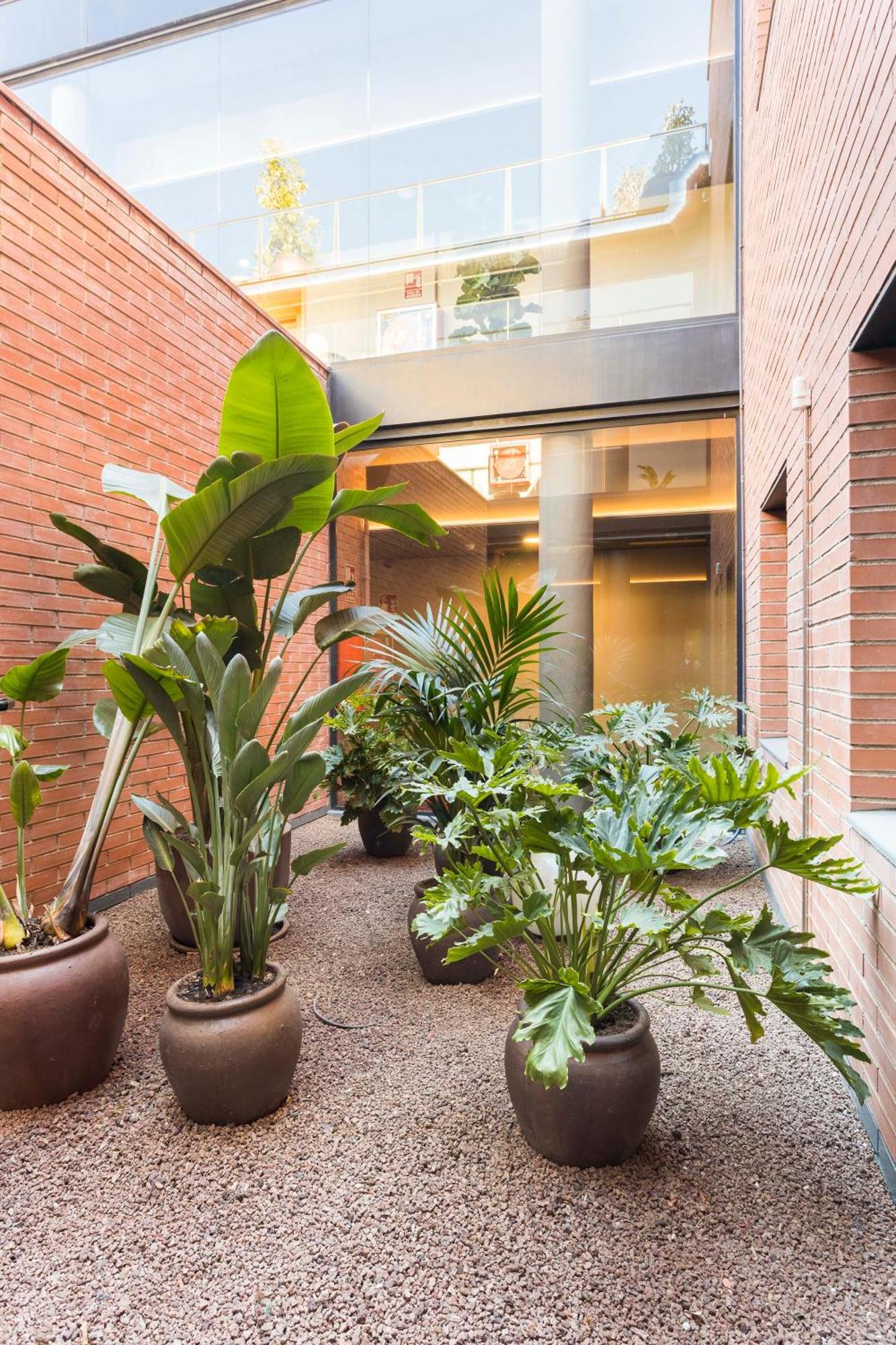 Hotel Terrassa Confort Eksteriør bilde